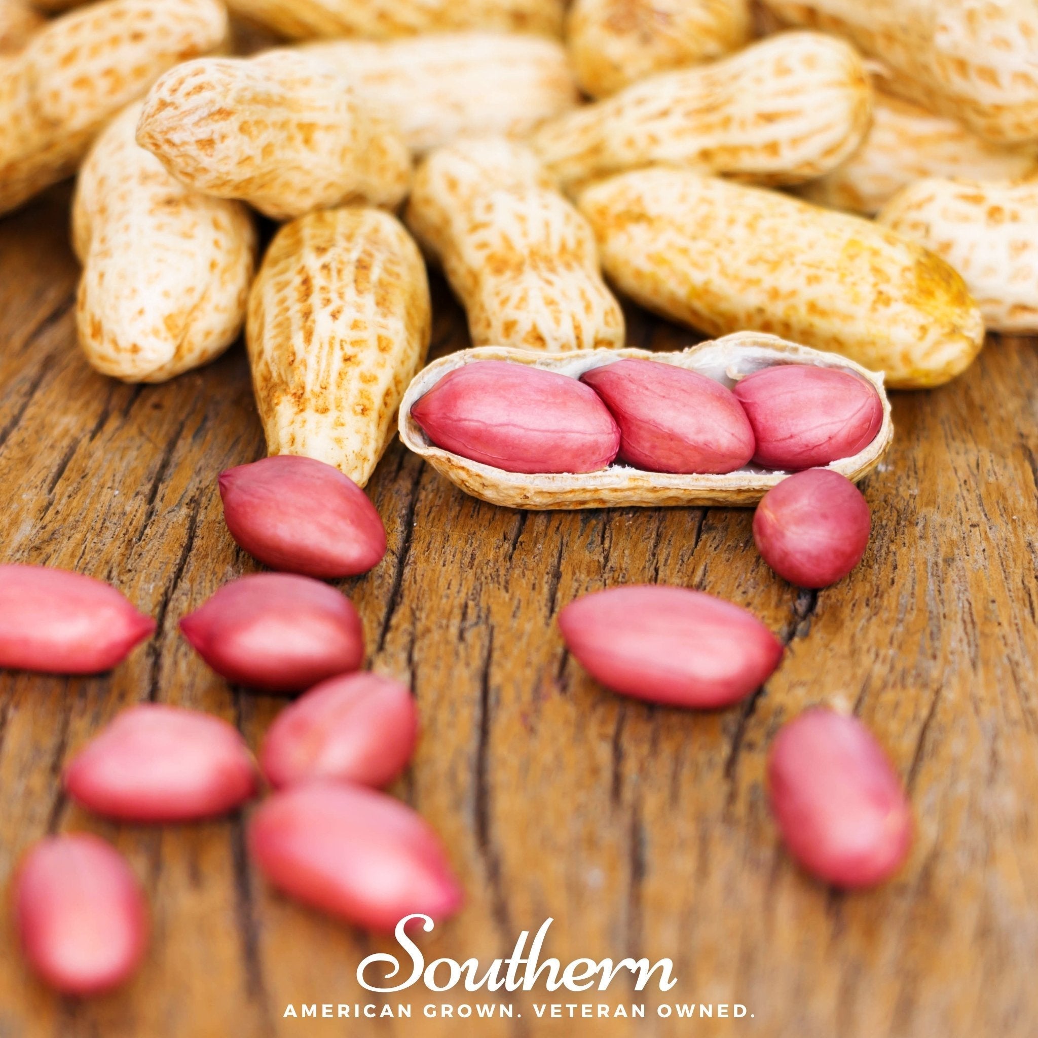 Tennessee Red Peanuts – 10 Seeds