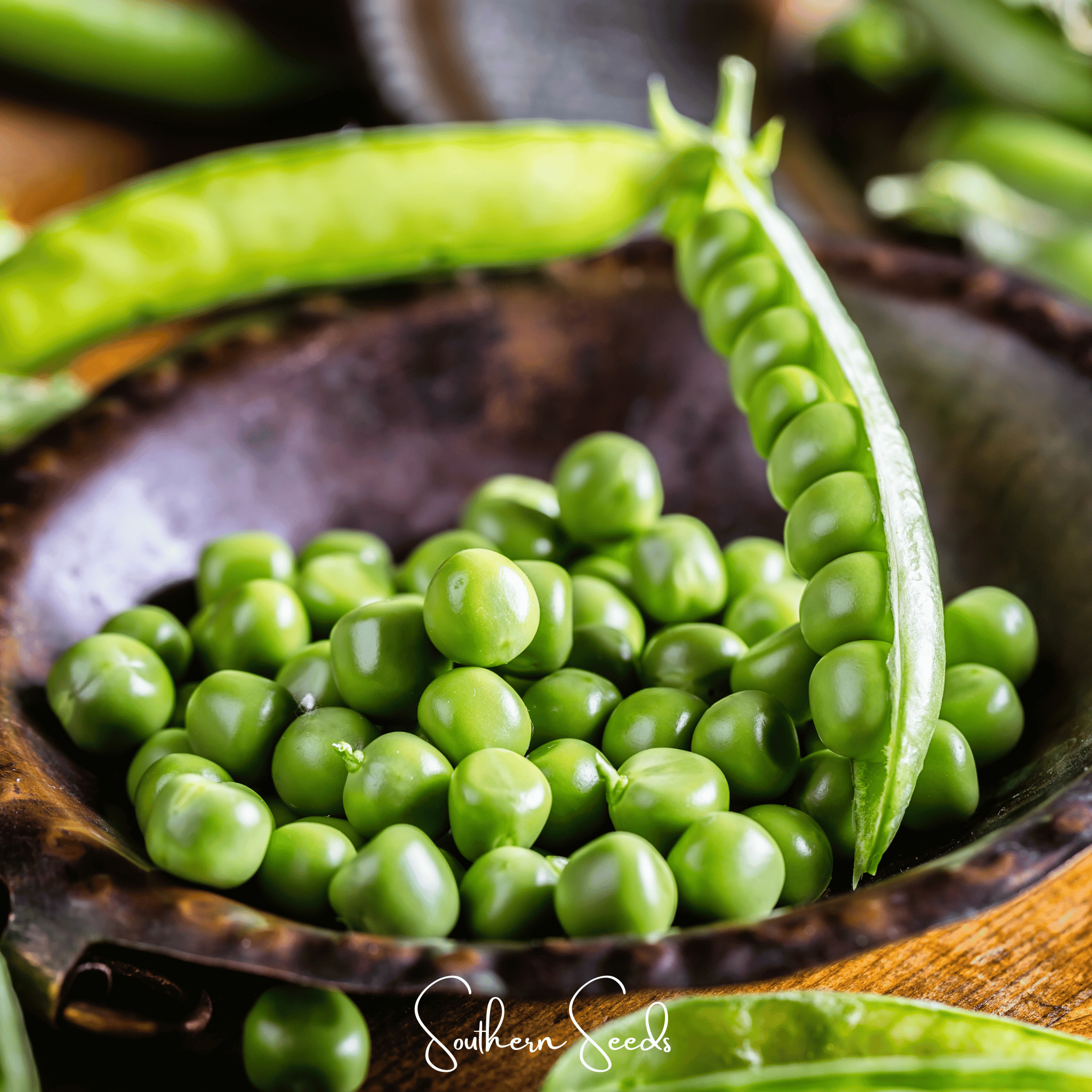 Early Frosty Peas – 25 Seeds