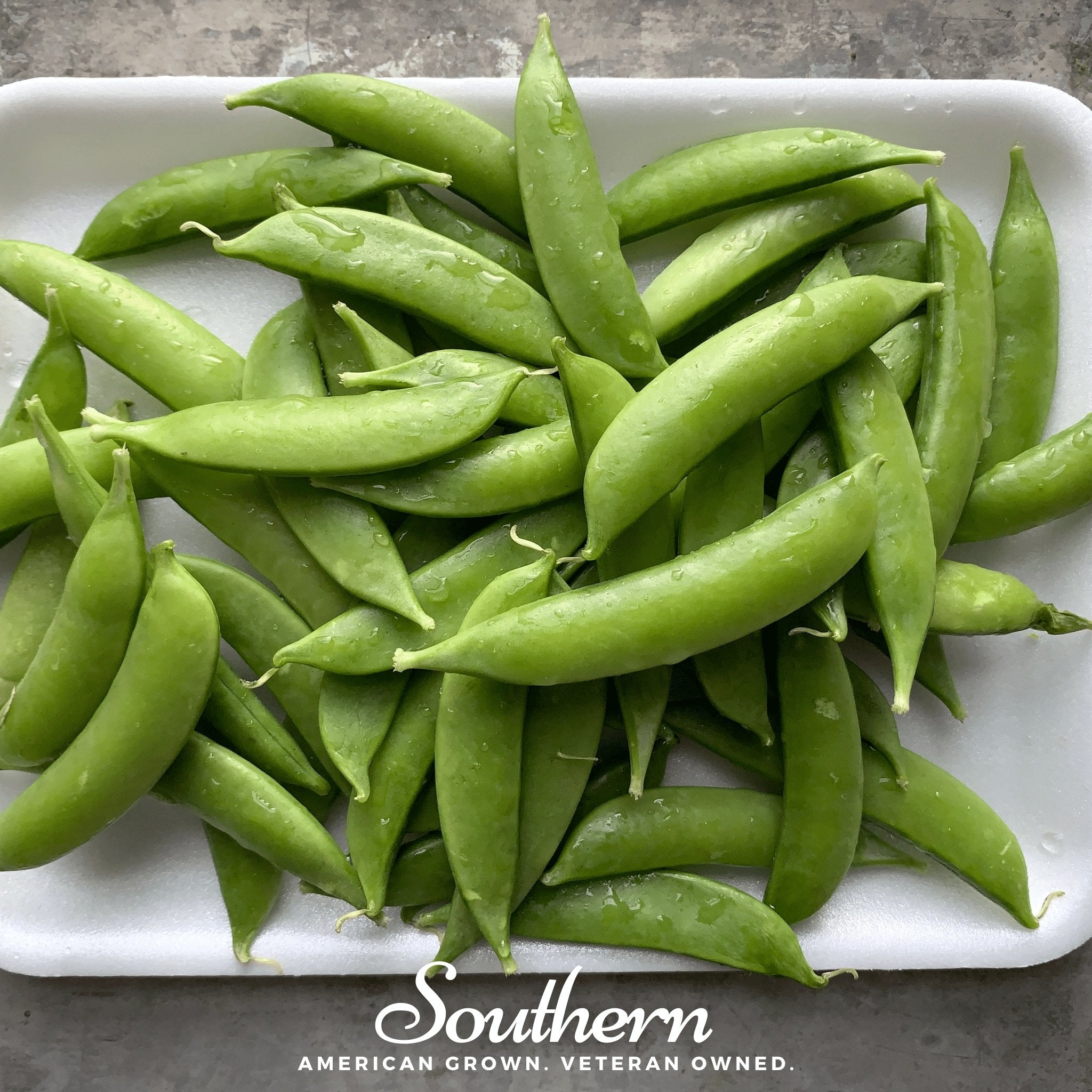 Sugar Snap Peas – 20 Seeds