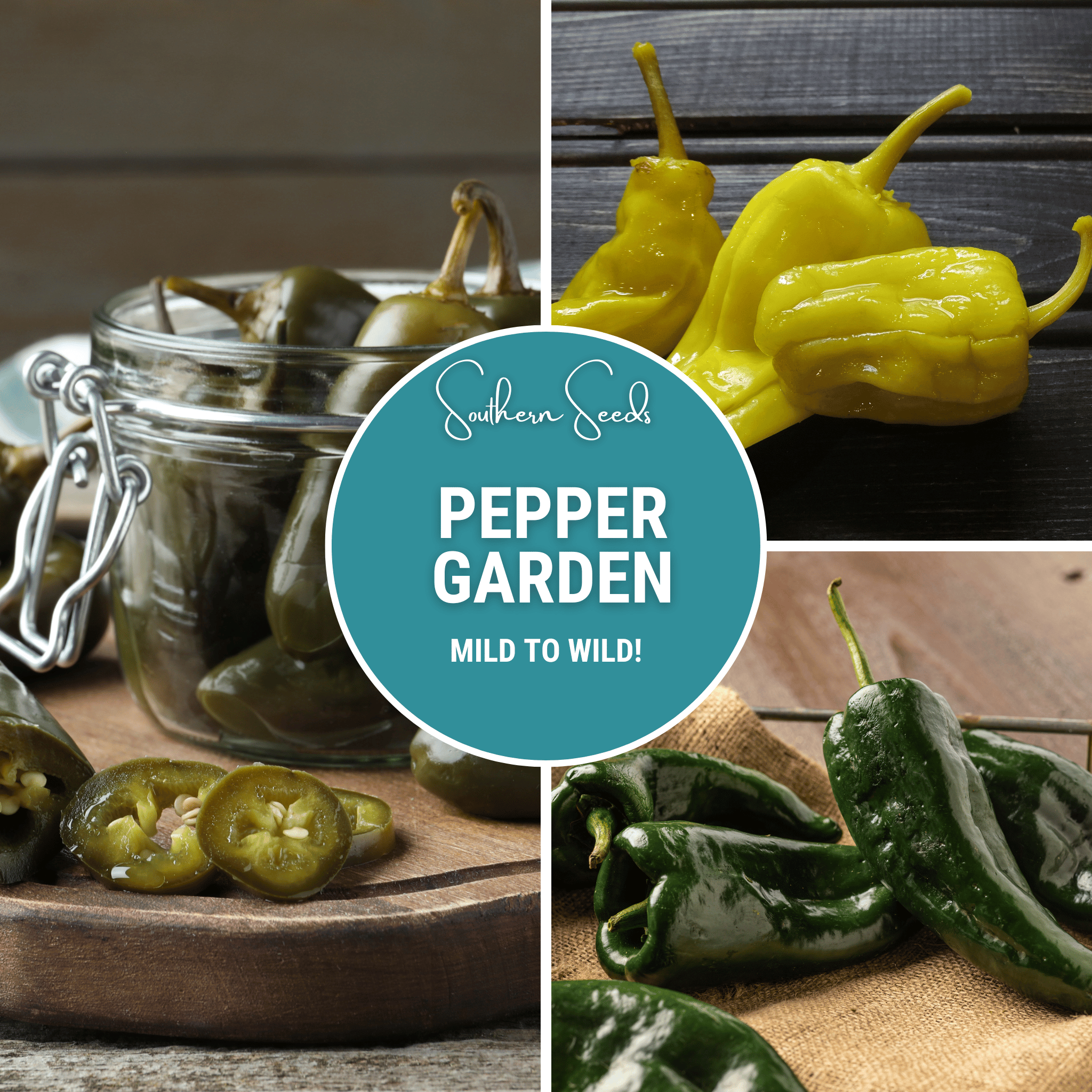 Pepper Seed Collection – 6 Essential Heirloom Peppers