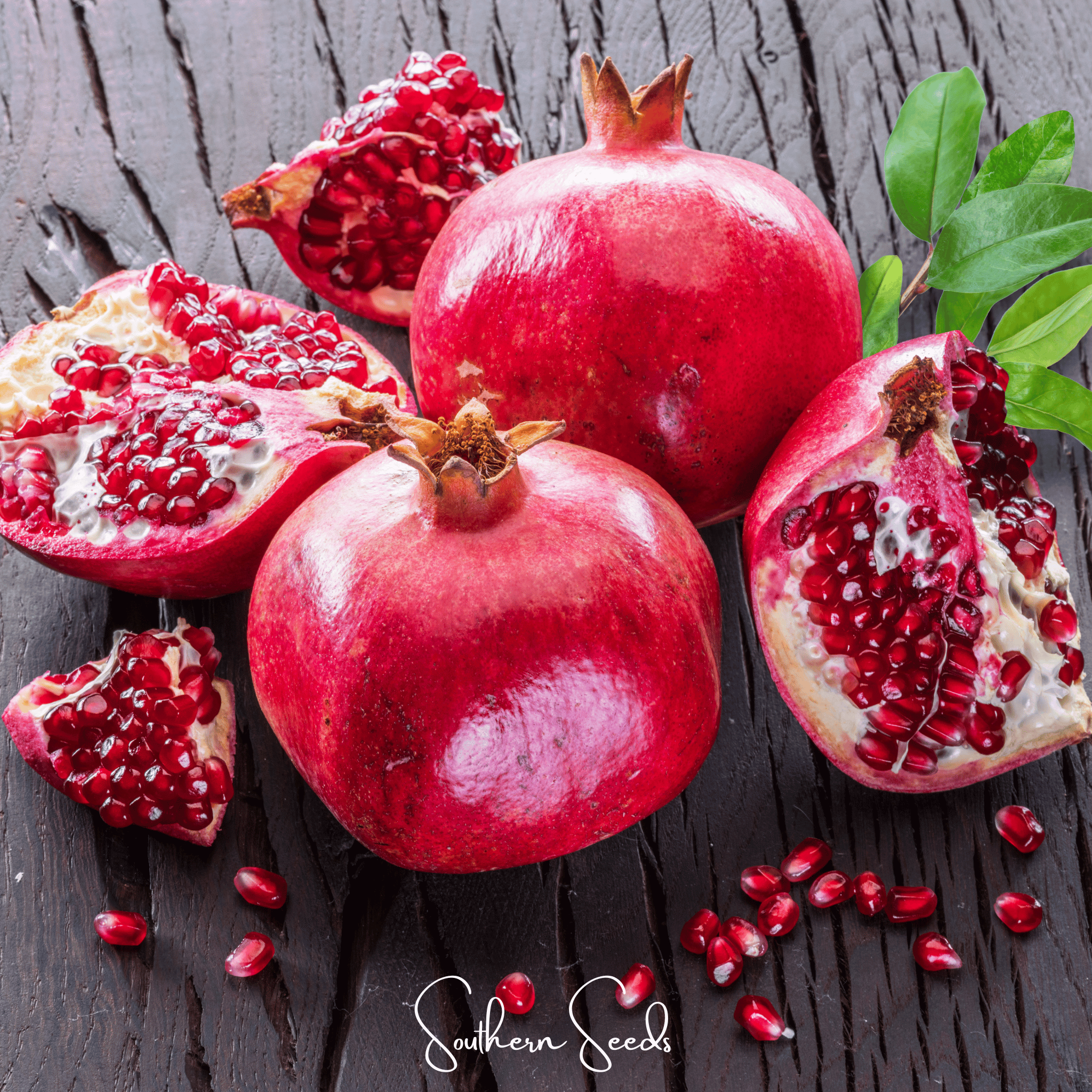 Pomegranate – 20 Seeds