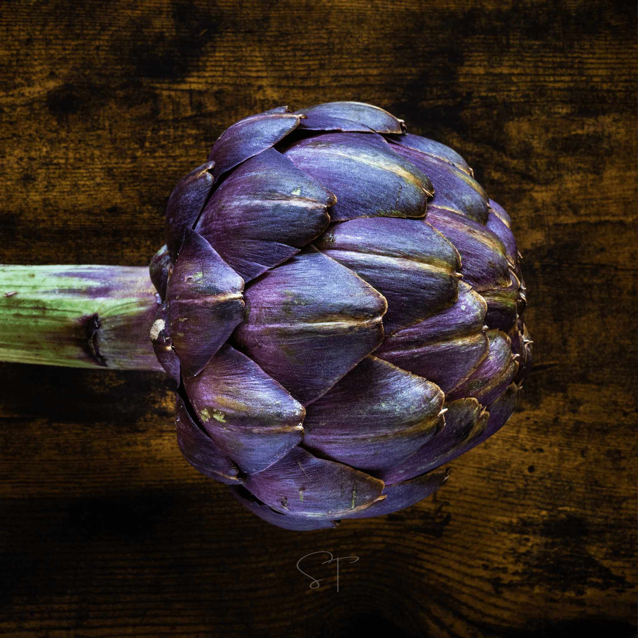 Purple Romagna Artichoke – 25 Seeds