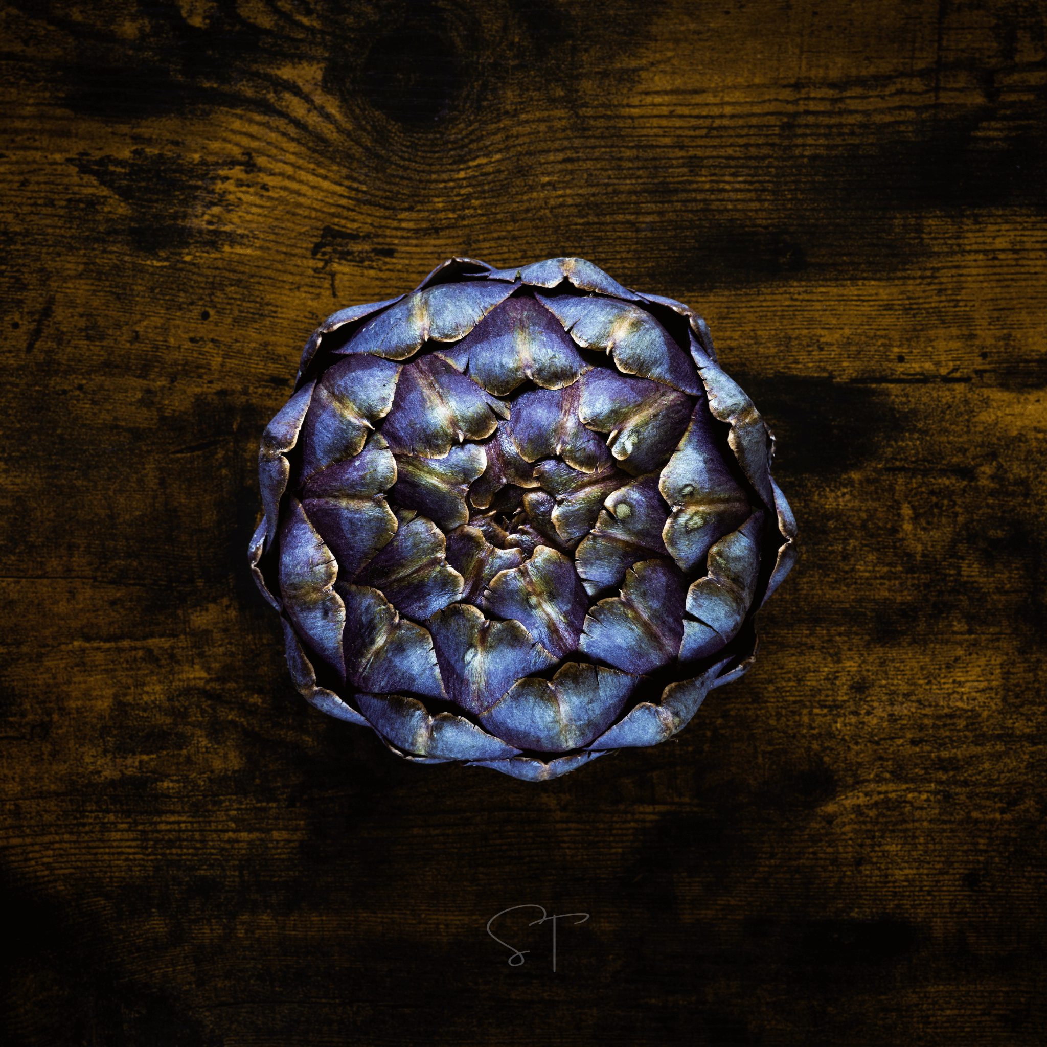 Purple Romagna Artichoke – 25 Seeds