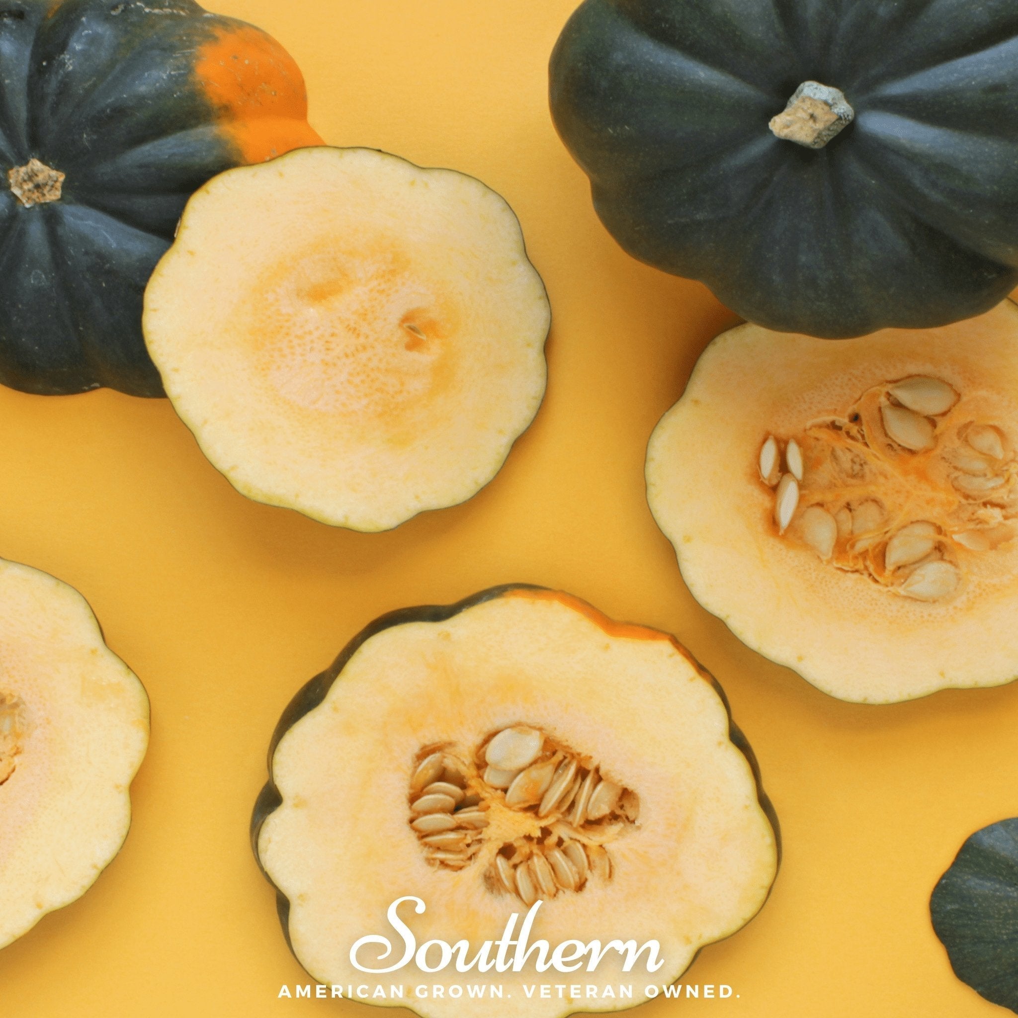 Table King Acorn Winter Squash – 20 Seeds