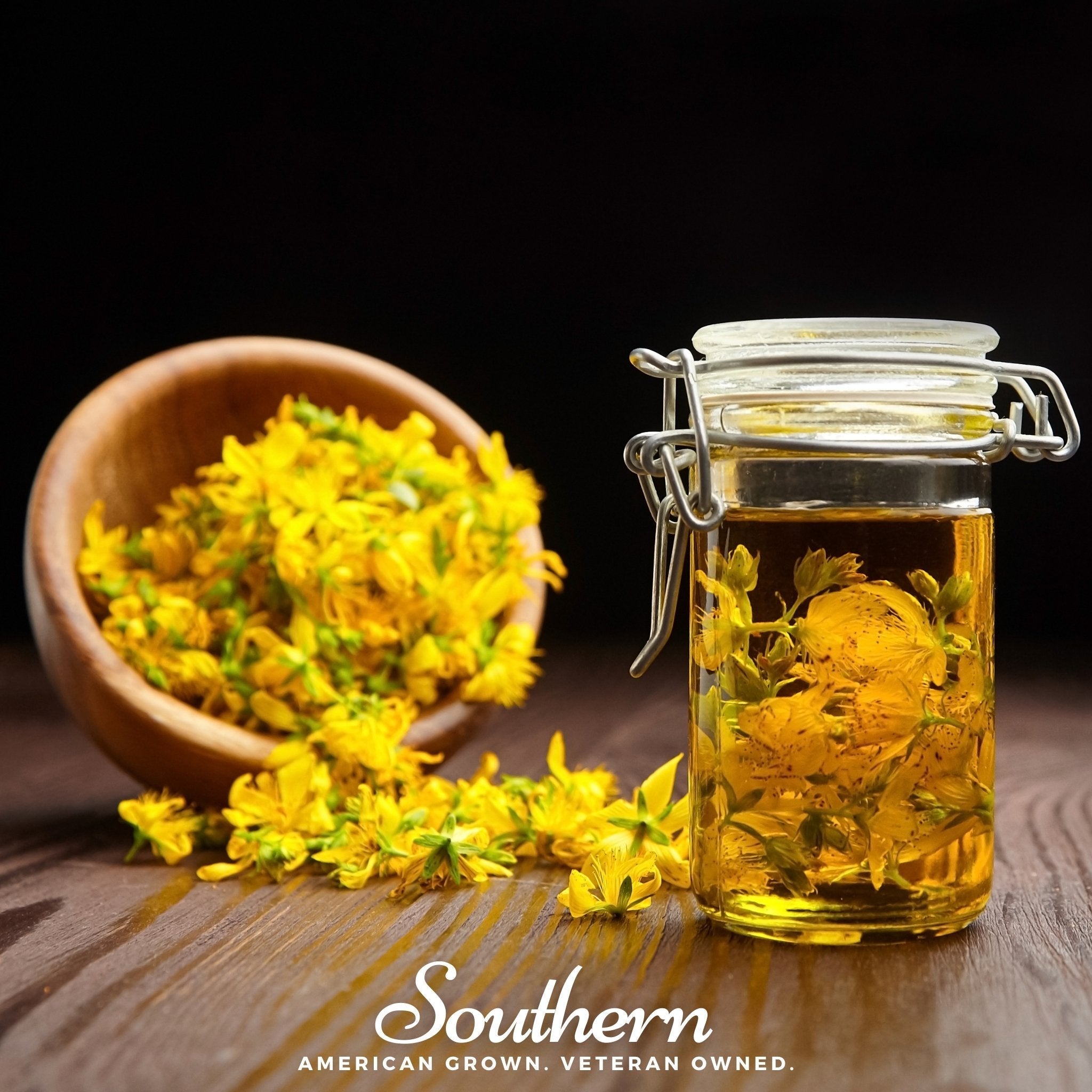 Dotted St. John’s Wort – 100 Seeds