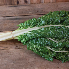 Load image into Gallery viewer, Olle Garden Seedlings - Greens Mix (Spring)
