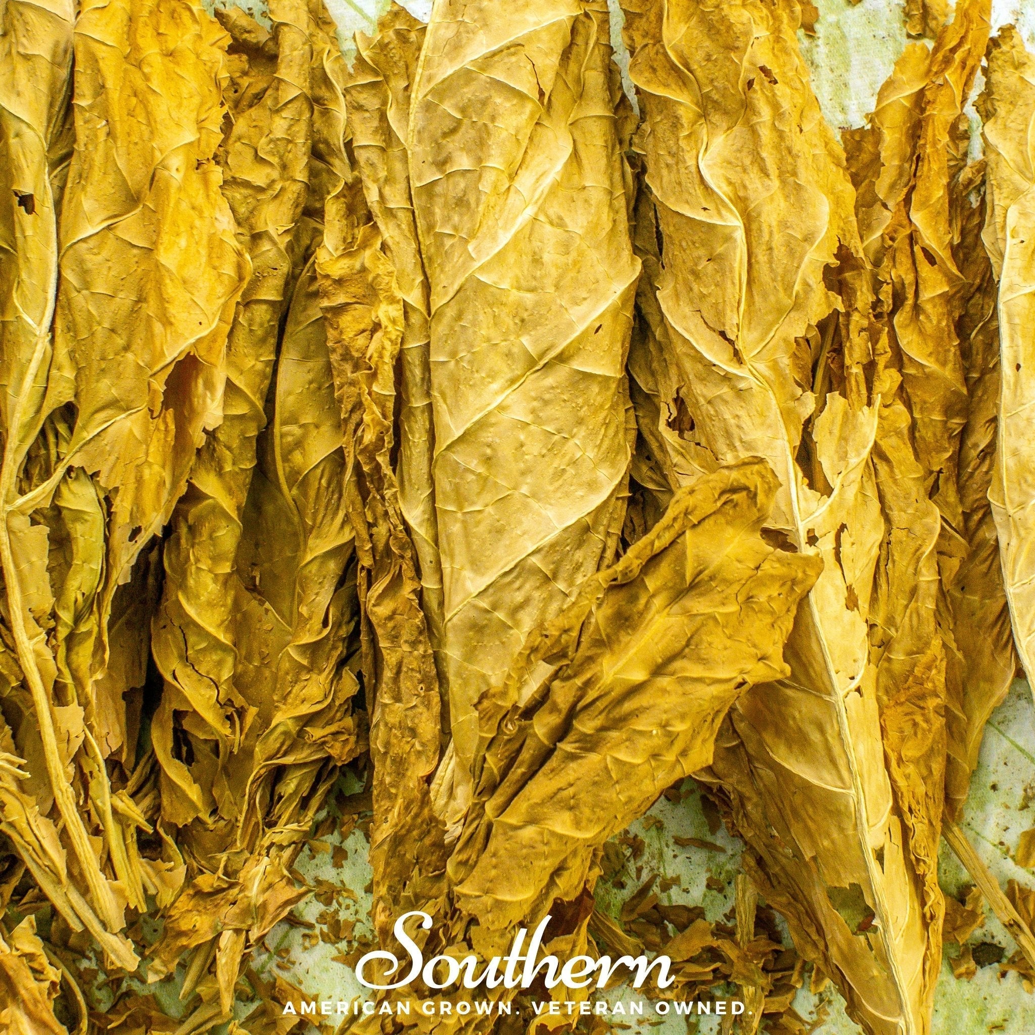 Virginia Gold Tobacco – 500 Seeds