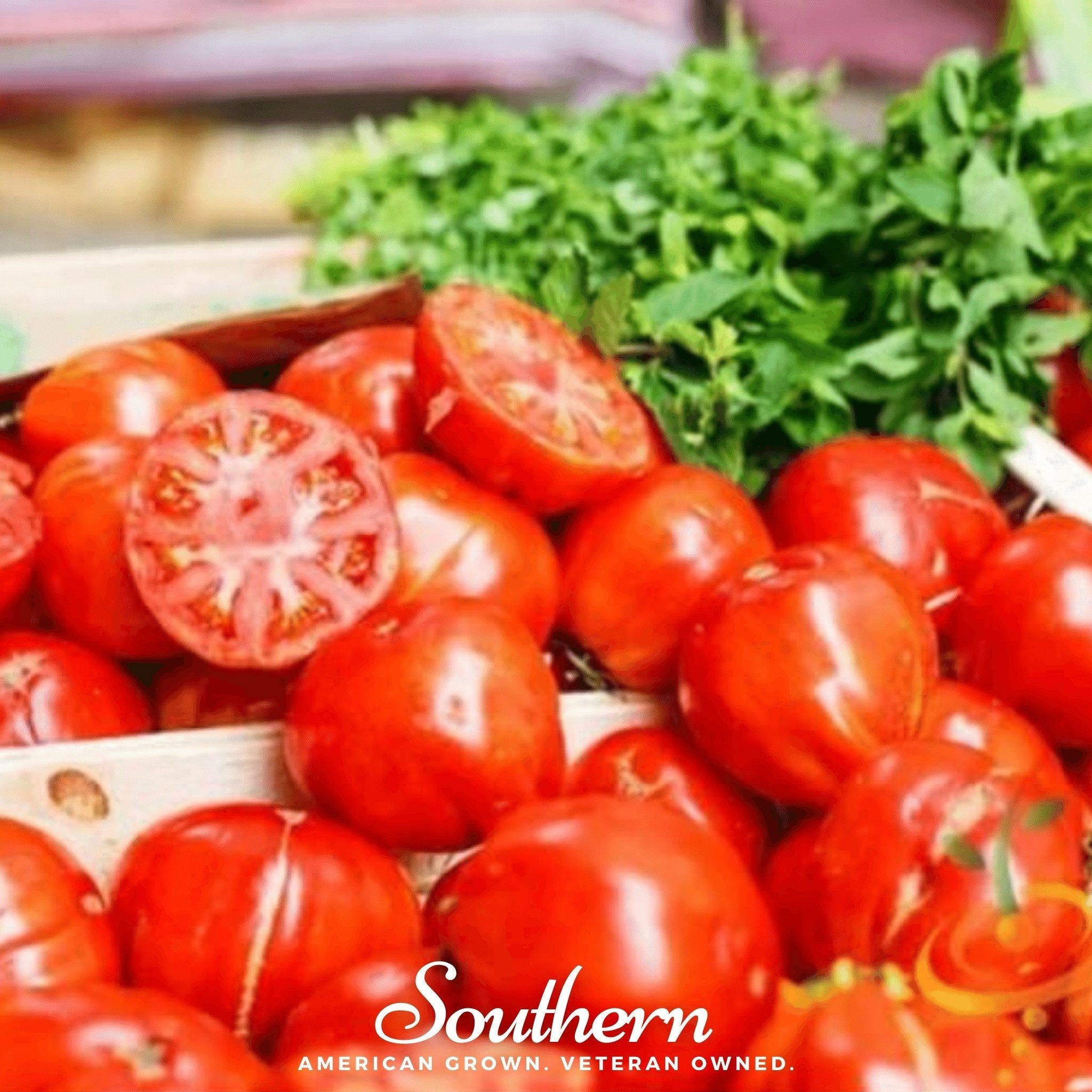 VR Moscow Tomato – 50 Seeds