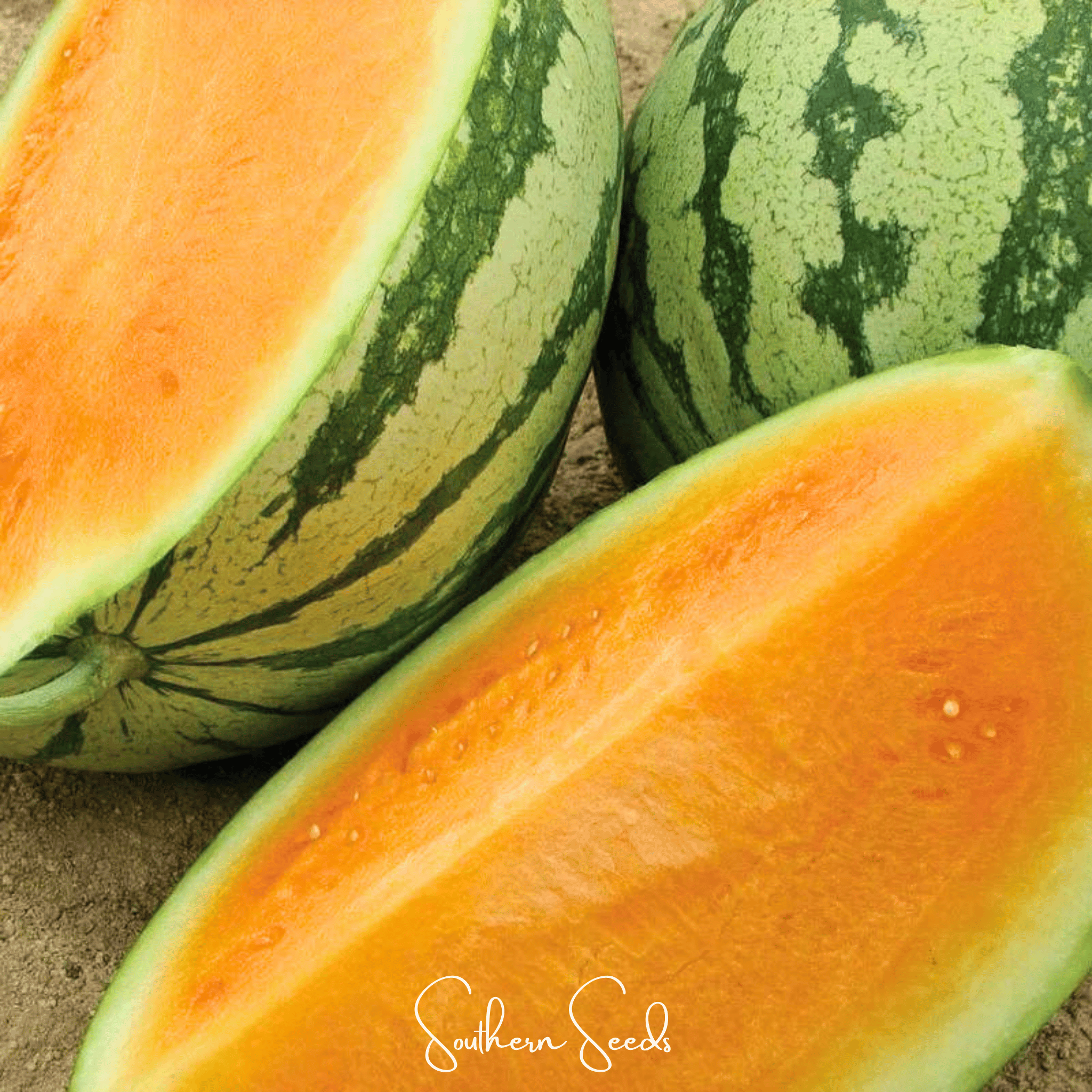 Tendersweet Orange Watermelon – 25 Seeds