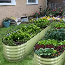 Load image into Gallery viewer, Olle Metal Raised Garden Beds, Home Garden Vegetable Beds - Ollegardens
