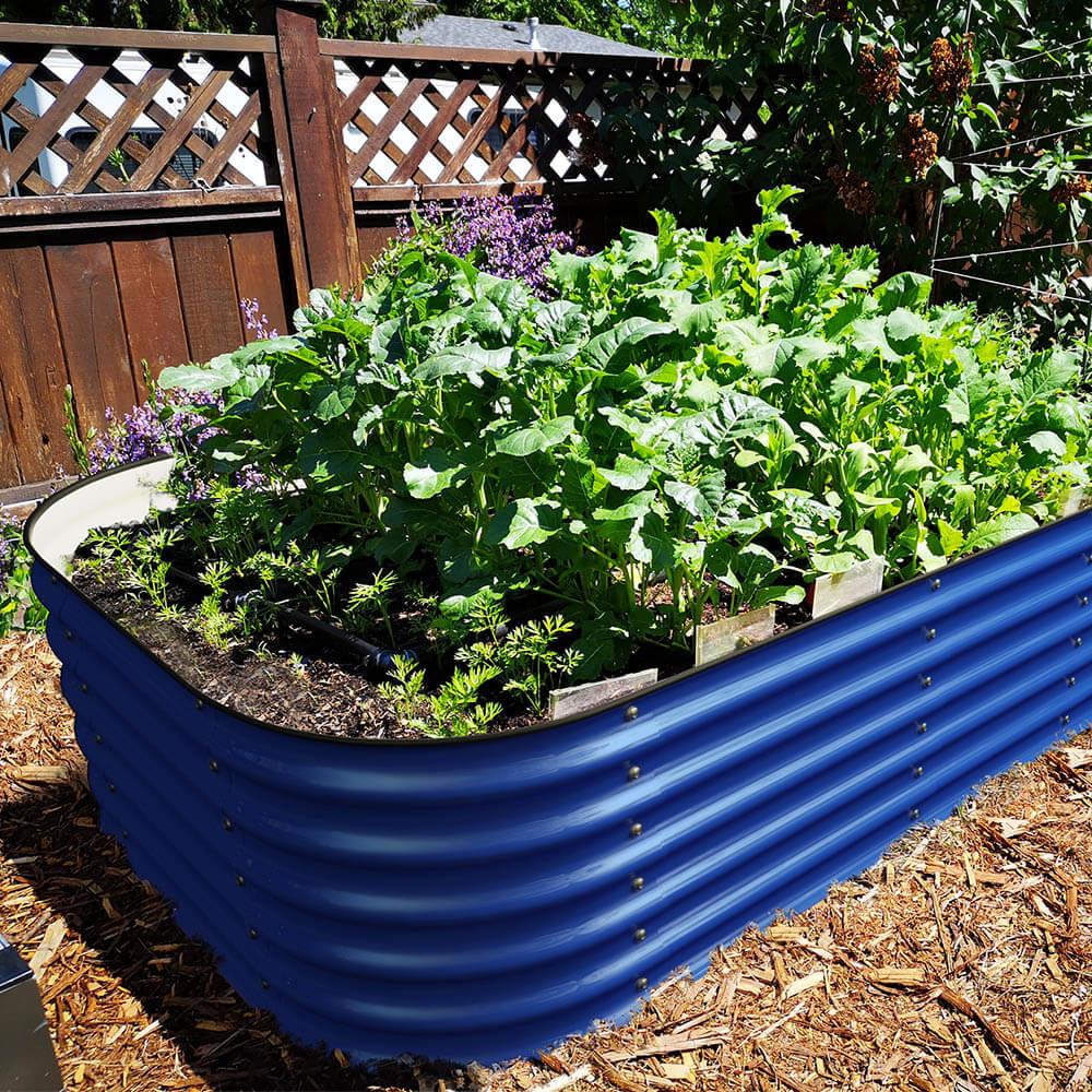 Olle Galvanized Raised Garden Beds, Home Garden Vegetable Beds - Ollegardens
