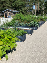 Load image into Gallery viewer, Bundle of 8 | 32" Tall, 12-in-1 Olle Gardens Raised Beds
