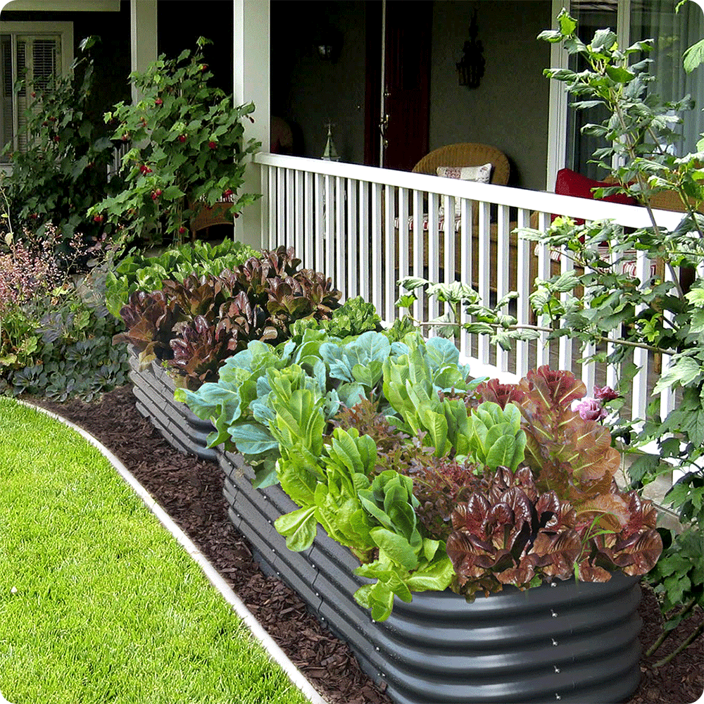 Olle Metal Raised Garden Beds, Home Garden Vegetable Beds - Ollegardens