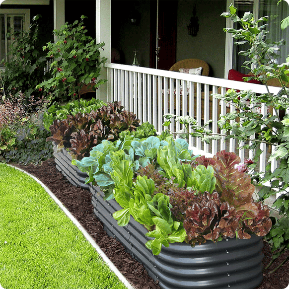 Olle Raised Garden Bed,Garden Boxes,Raised Planter Boxes,Diy Raised Garden Bed,Raised Flower Beds,Metal Garden Bed, Raised Vegetable Beds,Diy Garden Bed,Metal Raised Beds,Diy Raised Bed, Raised Herb Garden,Vegetable Garden Bed,Home Garden Beds