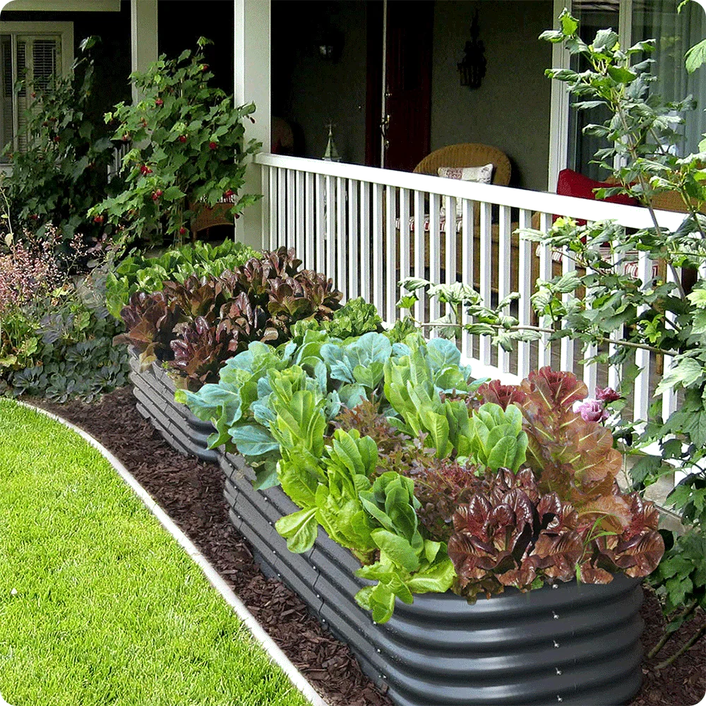 Olle Gardens 17