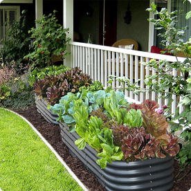 Olle Gardens 17