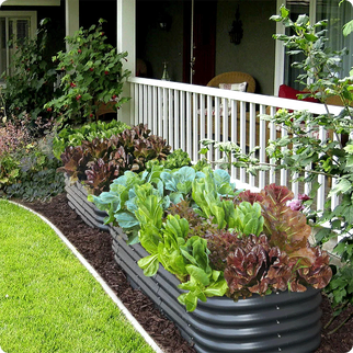 Olle Gardens 17