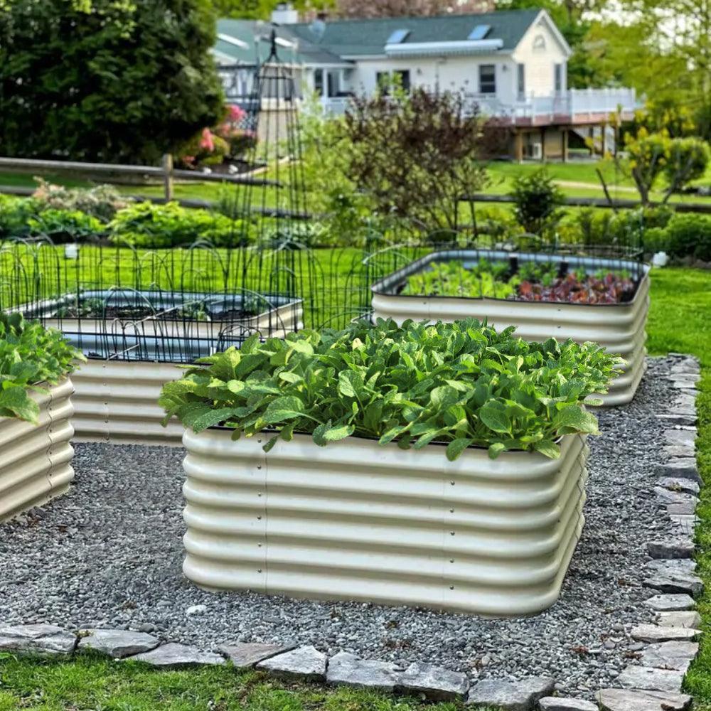Olle Gardens 17