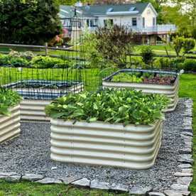Olle Gardens 17
