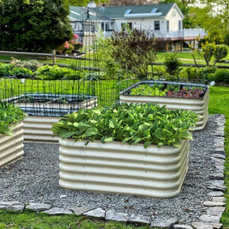 Olle Gardens 17