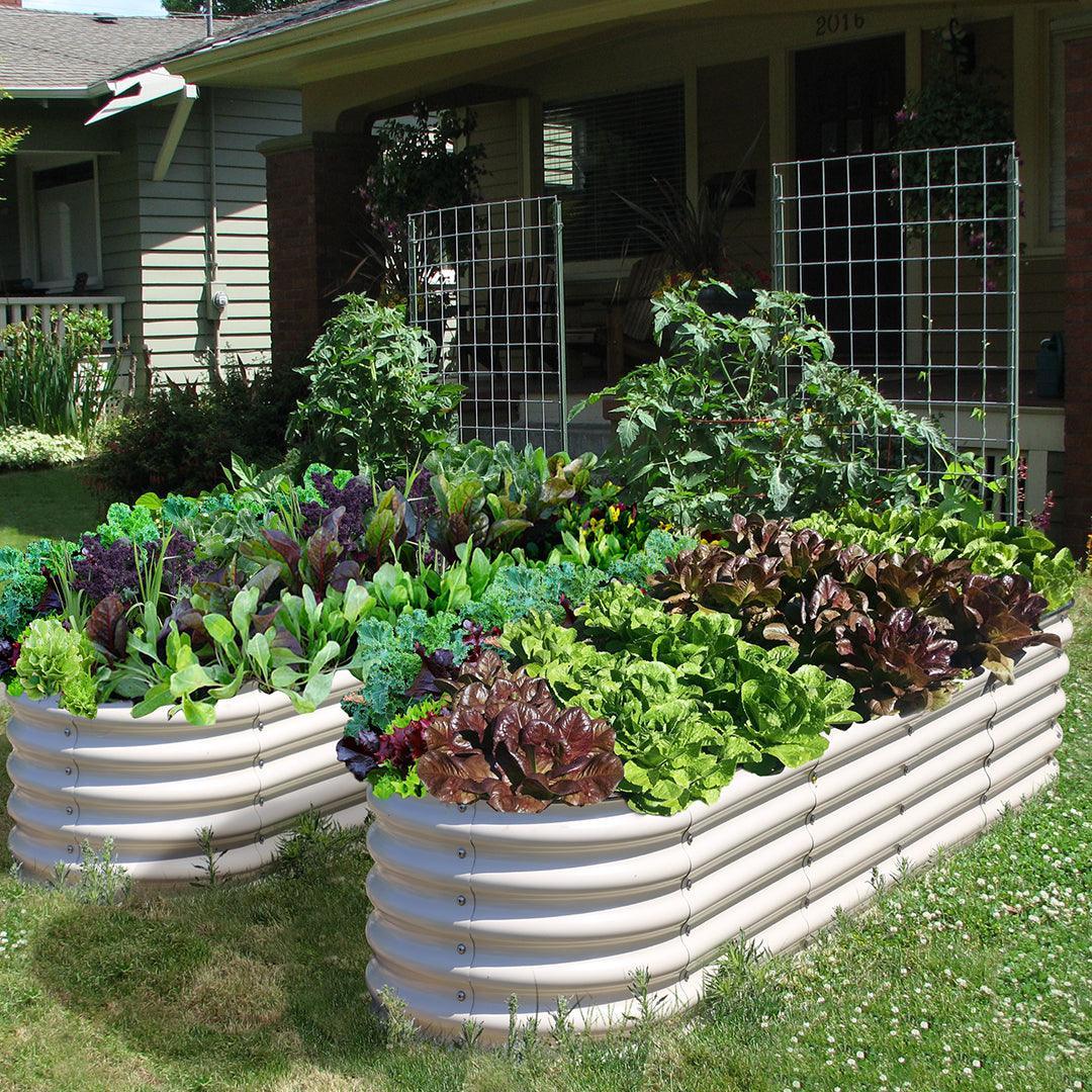 Olle Gardens 17
