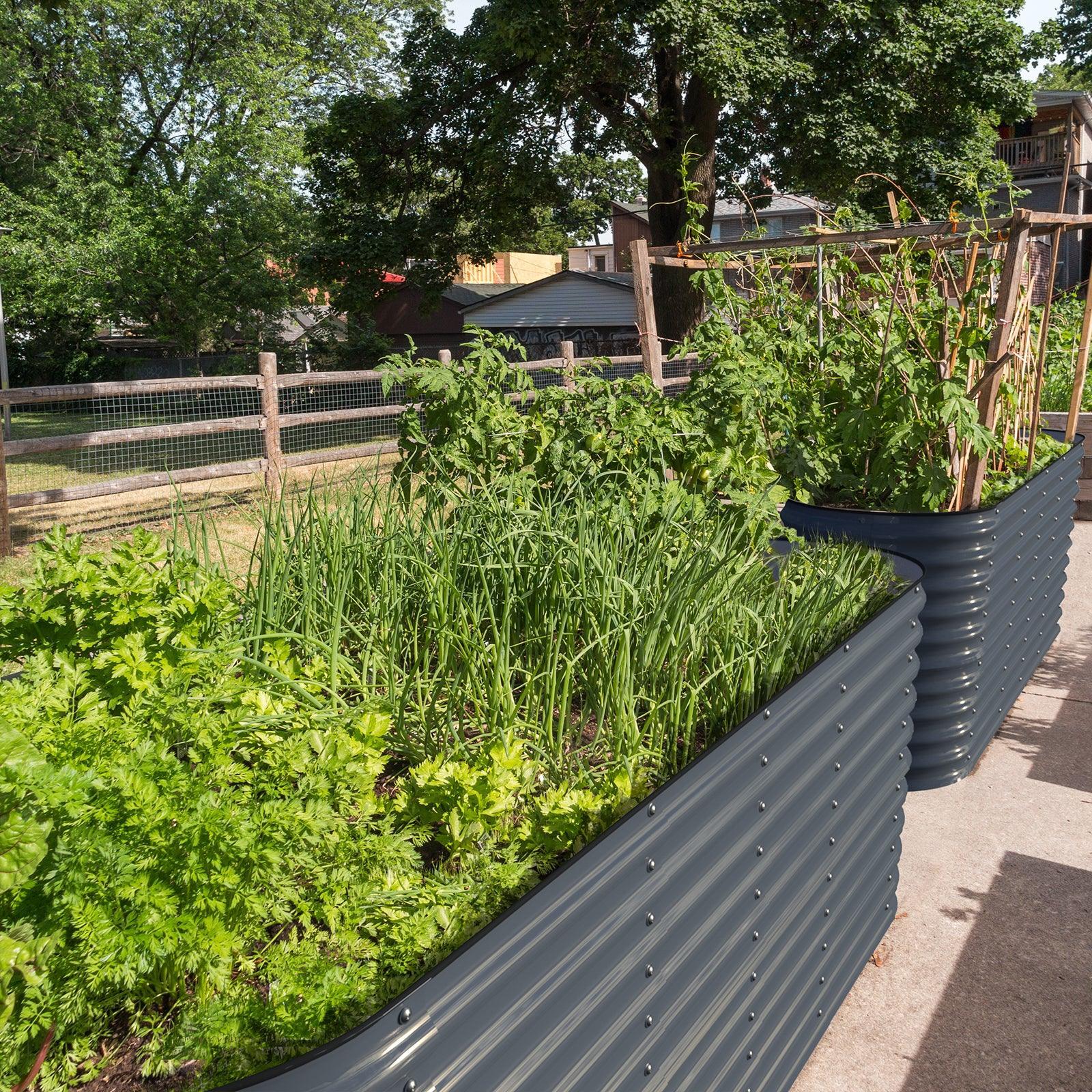 Olle Gardens 32