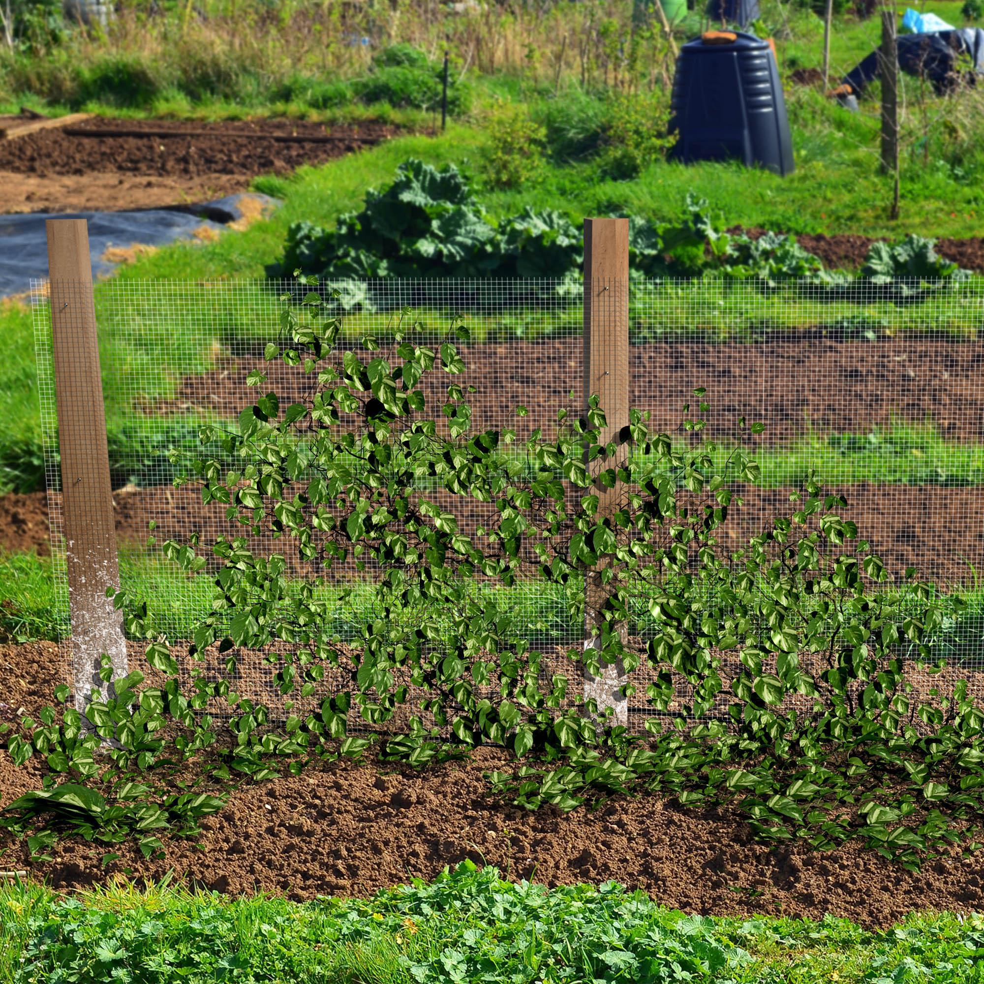 Olle Gopher Netting - Ollegardens